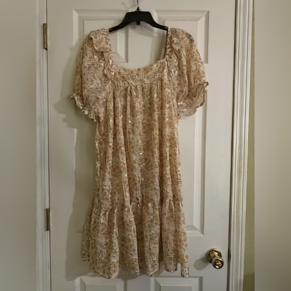 NWOT dress by Hayden